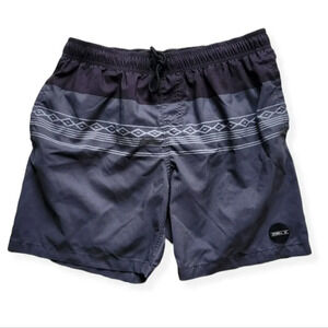 O'Neill Black and Grey Swim Shorts